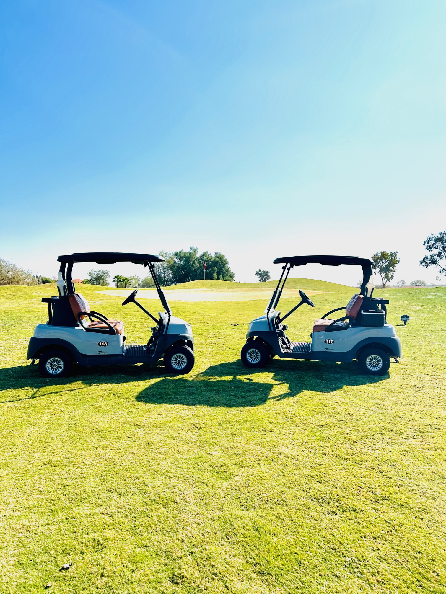 Carts on golf course